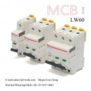 LW60